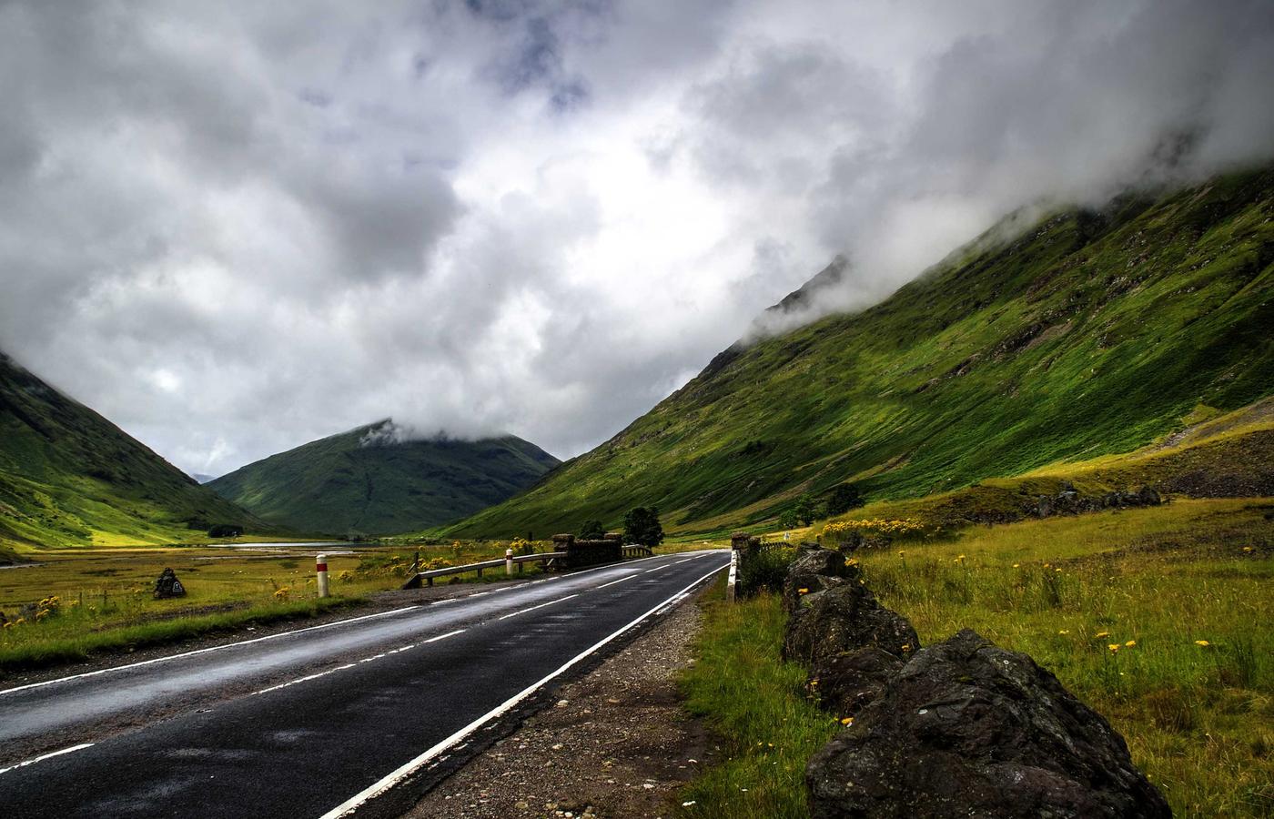 Елена Петрова