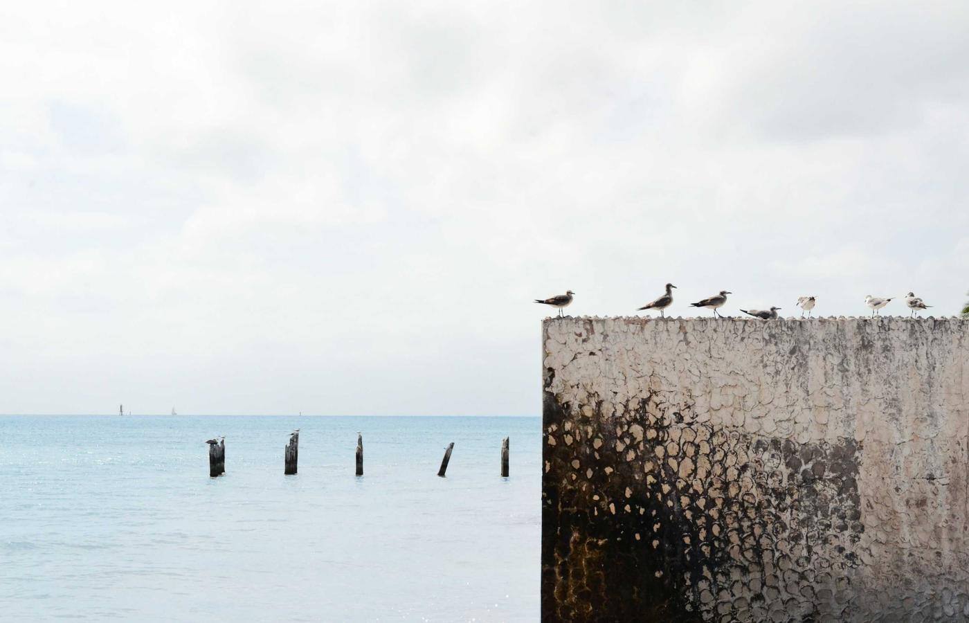 Наша история